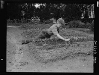 New York, New York. Children's school victory gardens on First Avenue between Thirty-fifth and Thirty-sixth Streets. Sourced from the Library of Congress.