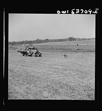 Dresher, Pennsylvania. Driving in a truck which has been loaded with baled hay at the Spring Run Farm. Sourced from the Library of Congress.