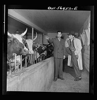 Chinese technical experts inspect model barn at University of Maryland barn, which is part of the UNRRA (United Nations Relief and Rehabilitation Administration) training center. From left: C.C. Chen and C.K. Lin. Sourced from the Library of Congress.