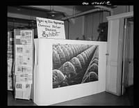 Installation of the United States Office of War Information (OWI) exhibit of original drawings and paintings by artists now in the armed forces. Preview, before shipping to Australia, held at the office of the Overseas Picture Division in the Auditor's Building. Sourced from the Library of Congress.