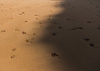 Shadow over the sand with footprints