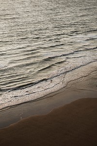 Surfers standing by the seashore