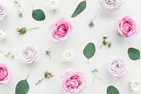Beautiful colorful flowers background design