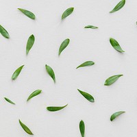 Fresh green leaf patterned background