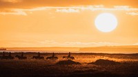 Trail riding in Iceland at sunset