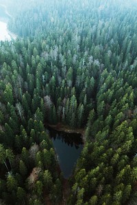 Drone shot of Eibsee lake, Germany