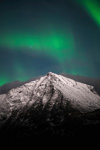 The northern lights on Lofoten island in Norway 