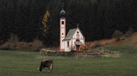 Cown in front of the Church of St. John of Nepomuk in Ranui