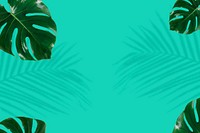 Fresh green Monstera leaves background