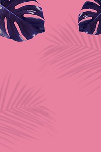 Indigo Monstera leaves on pink background