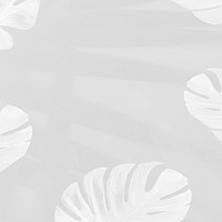 Monstera leaves with palm leaves shadow on gray background