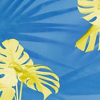 Yellow Monstera and palm shadow leaves on blue background