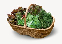 Vegetable basket sticker, organic food ingredient isolated image psd