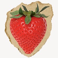 Strawberry fruit, ripped paper collage element