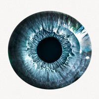 Blue eye iris, iridology isolated image