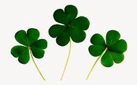 Clover leaf  collage element, Saint Patrick's Day design psd