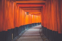 Free Fushimi Inari Shrine in Kyoto image, public domain Japan CC0 photo.