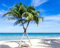 Sunny beach with palm tree, blue sky background, free public domain CC0 photo.