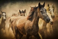 Free herd of horses digital art image, public domain animal CC0 photo.