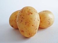 Free potatoes on white background photo, public domain vegetables CC0 image.