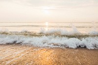 Golden hours on the beach, free public domain CC0 photo.