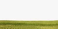 Green field border, nature background psd