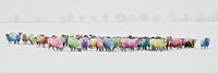 Free colorful sheep on snow image, public domain animal CC0 photo.