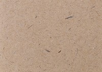 Natural beige paper background, free public domain CC0 image.