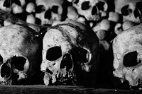 Free black and white skulls photo, public domain grayscale CC0 image.