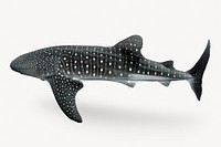 Whale shark sticker, sea animal isolated image psd