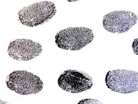 Free black and white finger prints photo, public domain grayscale CC0 image.