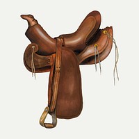 Vintage saddle illustration vector, remixed from the artwork by Eva Fox & Harry Mann Waddell