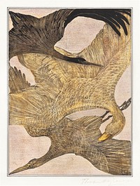 Drie vliegende vogels (1878&ndash;1905) print in high resolution by <a href="https://www.rawpixel.com/search/Theo%20van%20Hoytema?sort=curated&amp;page=1">Theo van Hoytema</a>. Original from The Rijksmuseum. Digitally enhanced by rawpixel.