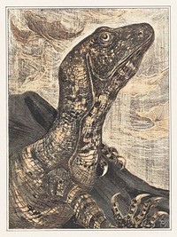 Leguaan (1878&ndash;1906) print in high resolution by Theo van Hoytema. Original from The Rijksmuseum. Digitally enhanced by rawpixel.