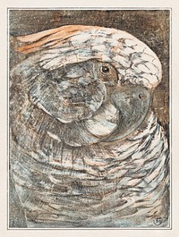 Kop van een papegaai (1878&ndash;1908) print in high resolution by <a href="https://www.rawpixel.com/search/Theo%20van%20Hoytema?sort=curated&amp;page=1">Theo van Hoytema</a>. Original from The Rijksmuseum. Digitally enhanced by rawpixel.