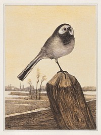 Kwikstaart op paal (1878&ndash;1910) print in high resolution by <a href="https://www.rawpixel.com/search/Theo%20van%20Hoytema?sort=curated&amp;page=1">Theo van Hoytema</a>. Original from The Rijksmuseum. Digitally enhanced by rawpixel.