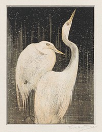 Twee zilverreigers (1878&ndash;1905) print in high resolution by <a href="https://www.rawpixel.com/search/Theo%20van%20Hoytema?sort=curated&amp;page=1">Theo van Hoytema</a>. Original from The Rijksmuseum. Digitally enhanced by rawpixel.