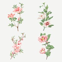 Vintage Japanese pink flower vector art print set, remix from artworks by Megata Morikaga