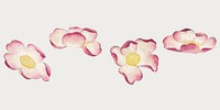 Vintage mallow flower vector set, remix from artworks by Zhang Ruoai