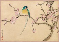 Bird with Plum Blossoms (18th Century) painting in high resolution by Zhang Ruoai. Original from The Cleveland Museum of Art. Digitally enhanced by rawpixel.