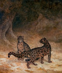 Clouded Leopards (ca. 1825) painting in high resolution by <a href="https://www.rawpixel.com/search/Jacques%E2%80%93Laurent%20Agasse?sort=curated&amp;page=1&amp;topic_group=_my_topics">Jacques&ndash;Laurent Agasse</a>. Original from The Yale University Art Gallery. Digitally enhanced by rawpixel.