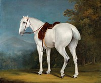 A Lady&#39;s Grey Hunter (ca. 1806) painting in high resolution by <a href="https://www.rawpixel.com/search/Jacques%E2%80%93Laurent%20Agasse?sort=curated&amp;page=1&amp;topic_group=_my_topics">Jacques&ndash;Laurent Agasse</a>. Original from The Yale University Art Gallery. Digitally enhanced by rawpixel.
