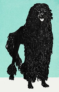 Vintage Poodle dog illustration vector, remixed from artworks by Moriz Jung