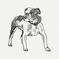 Vintage Bulldog art print, remixed from artworks by Moriz Jung