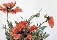 Red Poppies (1929) painting in high resolution by Charles Demuth. Original from The MET Museum. Digitally enhanced by rawpixel.