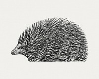 Hedgehog (ca. 1891&ndash;1941) drawing in high resolution by <a href="https://www.rawpixel.com/search/Leo%20Gestel?sort=curated&amp;page=1&amp;topic_group=_my_topics">Leo Gestel</a>. Original from The Rijksmuseum. Digitally enhanced by rawpixel.