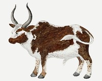 Namaqua ox vector antique watercolor animal illustration, remixed from the artworks by Robert Jacob Gordon