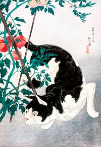Cat with Tomato Plant (1931) print in high resolution by <a href="https://www.rawpixel.com/search/Hiroaki%20Takahashi?sort=curated&amp;page=1&amp;topic_group=_my_topics">Hiroaki Takahashi</a>. 