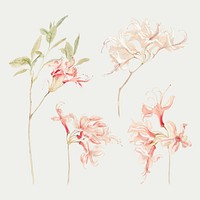 Vintage flower vector hand drawn style collection, remixed from artworks by Samuel Colman