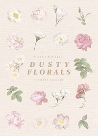 Hand drawn dusty floral elements vector collection